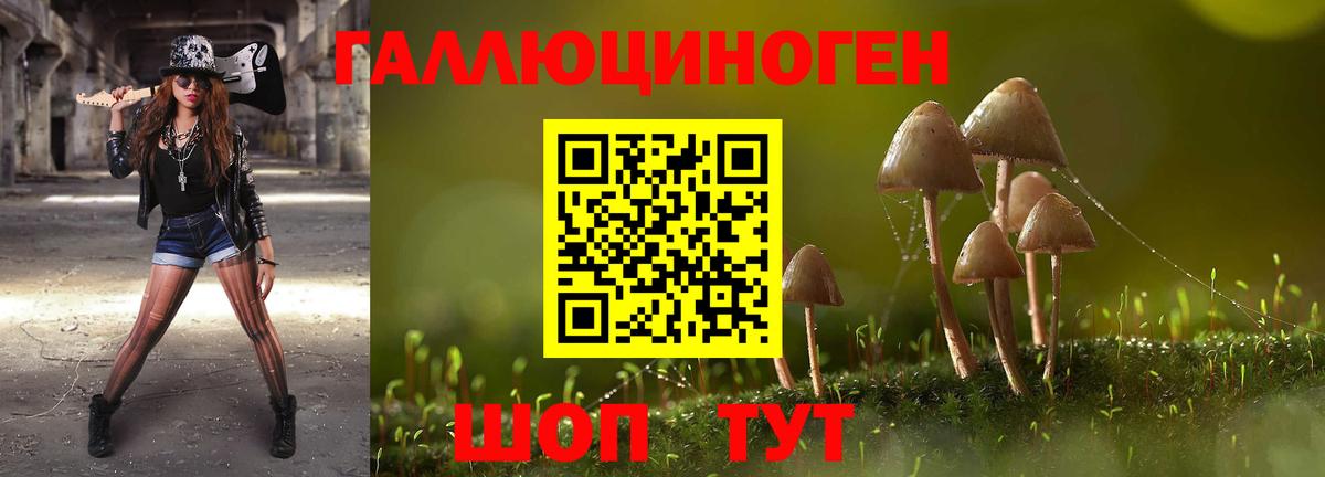 Псилоцибиновые грибы Magic Shrooms Осинники